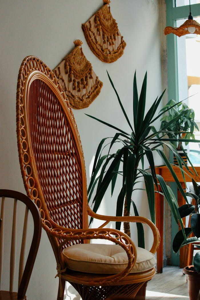 about-us Stylish wicker chair in a sunlit apartment with lush plants and wall decor.