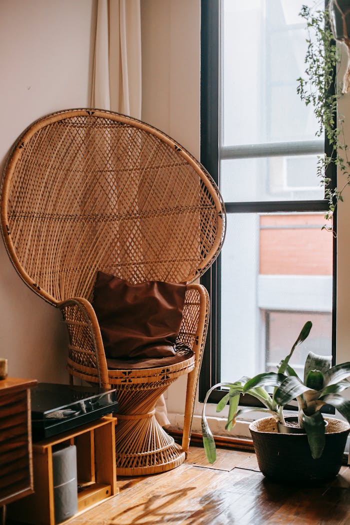 Mastering the First Impression: Your intriguing post title goes here Comfortable wicker armchair with cushion placed near window and green potted plant in cozy apartment